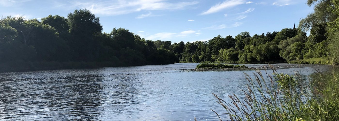 River with forest along both sides