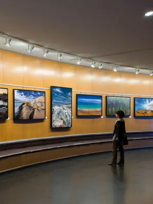Person looking at art work in the Rotunda 