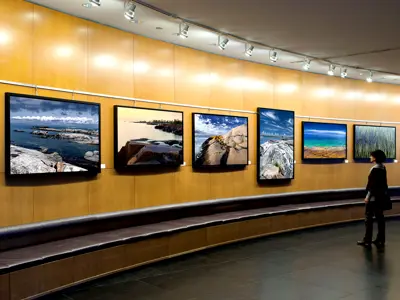 Person looking at art on the wall of the Rotunda Gallery