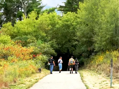 Four adults walking on a trail toward some trees