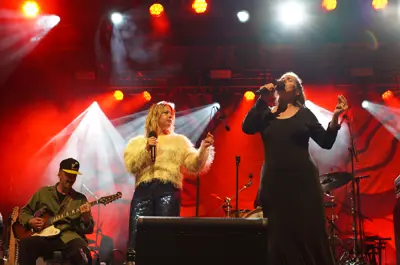 Performers on stage at Endless Summer