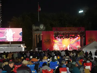 crowd at outdoor concert looking at stage