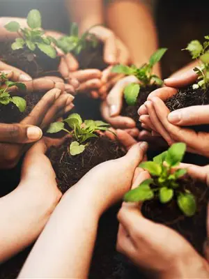 Hands holding onto plants 