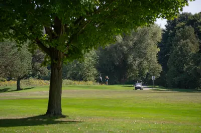 Golf cart and golfers in the background