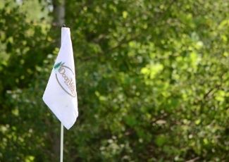 golf flag
