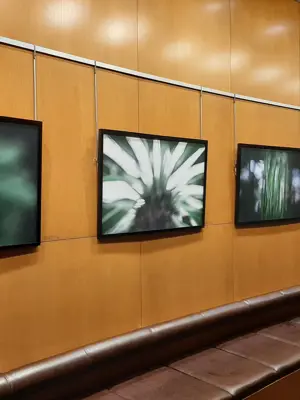 Soft-focus images of flowers and other organic materials hanging from the wall in the Rotunda Gallery