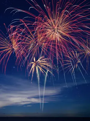 Photo of fireworks lighting up the night sky