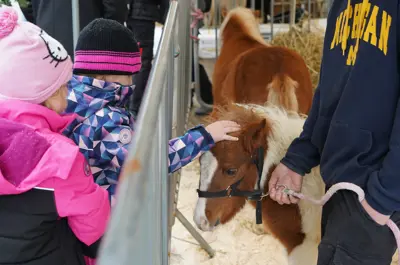 two young girls petting a mini horse